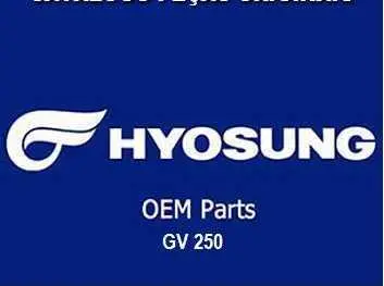 CATALOGO PEÇAS GV 250