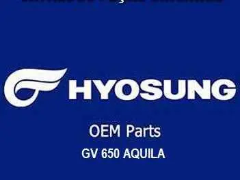 CATALOGO PEÇAS GV 650 AQUILA